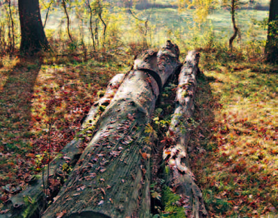 Gutes Hinderniss