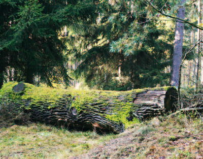 Gutes Hinderniss