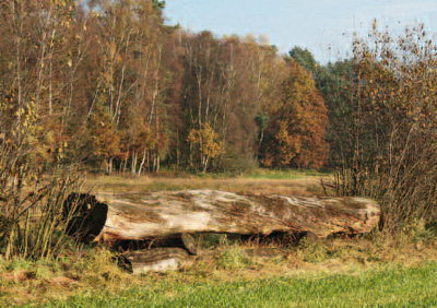 Gutes Hinderniss
