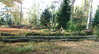 Gutes Jagdhinderniss